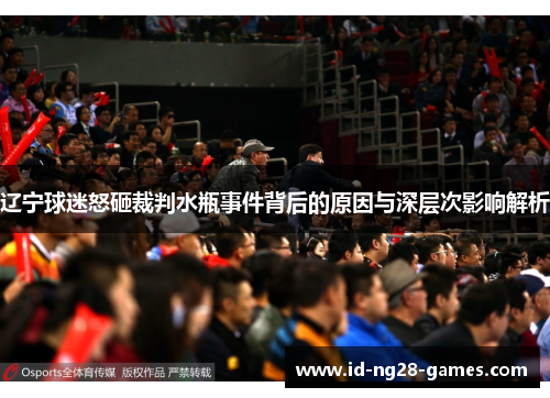 辽宁球迷怒砸裁判水瓶事件背后的原因与深层次影响解析